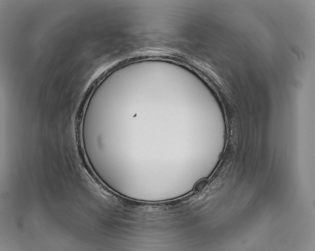 X0000111931404200907271020