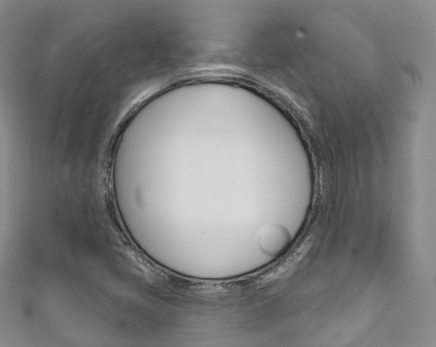 X0000111931405200907271020