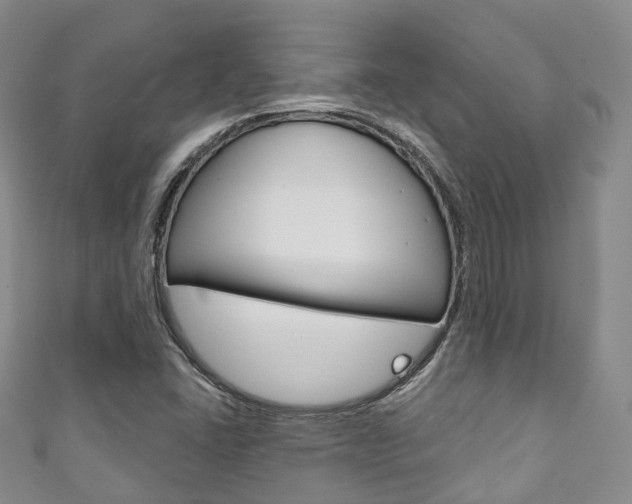 X0000111931406200907271020