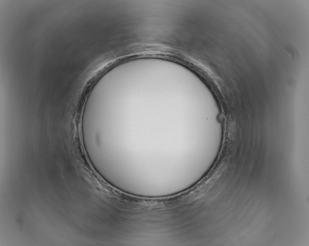 X0000111931407200907271020