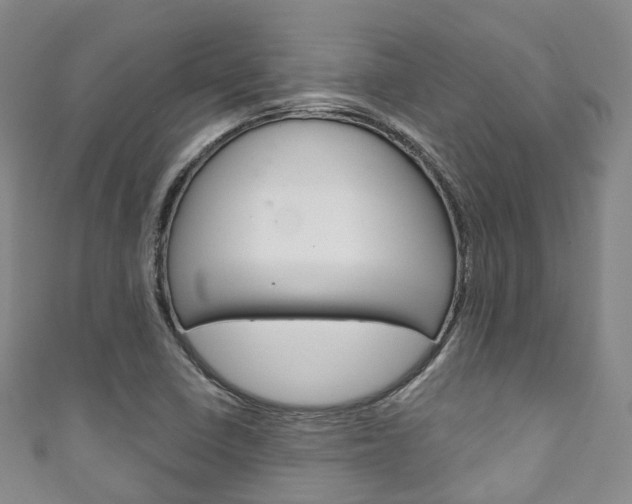 X0000111931410200907271020