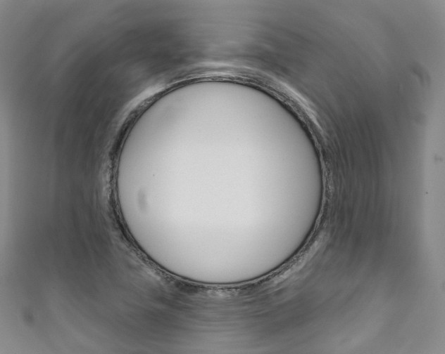 X0000111931411200907271020