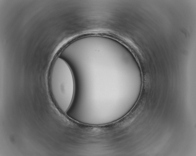 X0000111931412200907271020