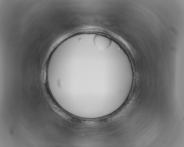 X0000111931413200907271020