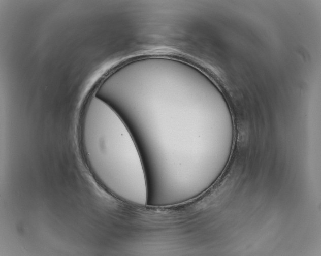 X0000111931414200907271020