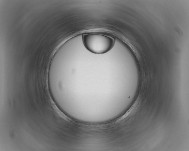 X0000111931417200907271020