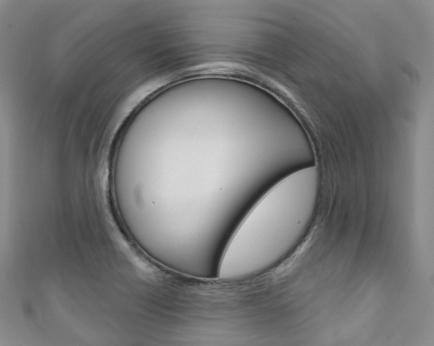 X0000111931418200907271020