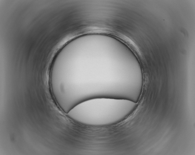 X0000111931419200907271021