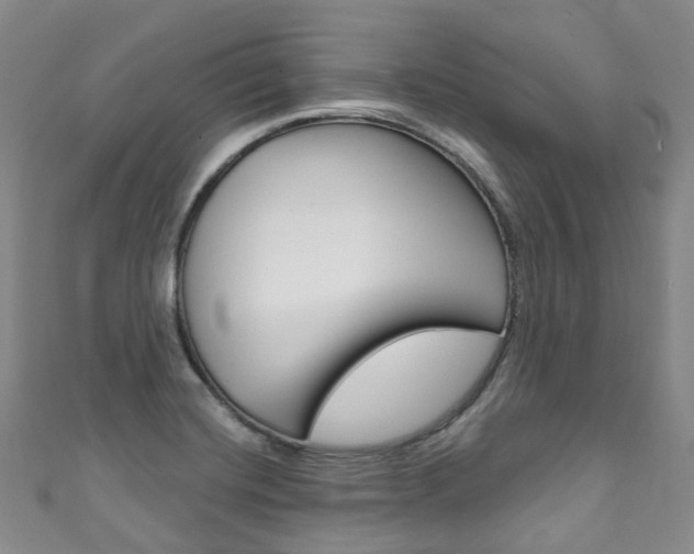 X0000111931420200907271021