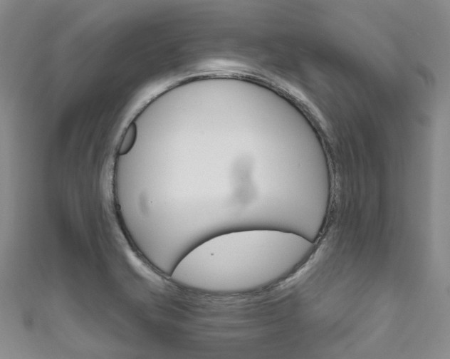 X0000111931421200907271021