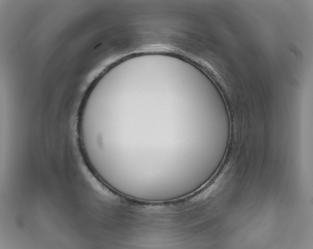 X0000111931422200907271021