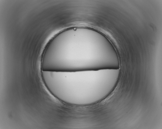 X0000111931424200907271021