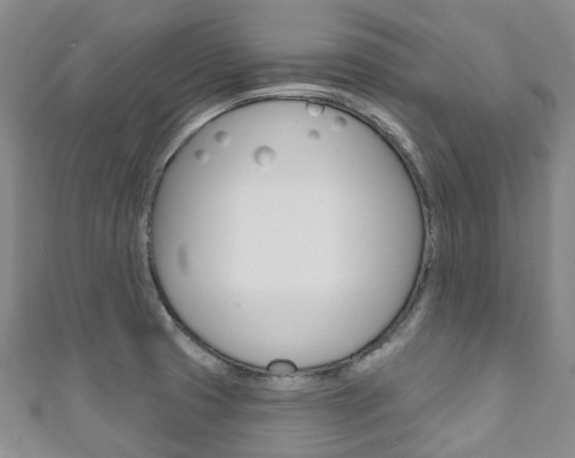 X0000111931425200907271021