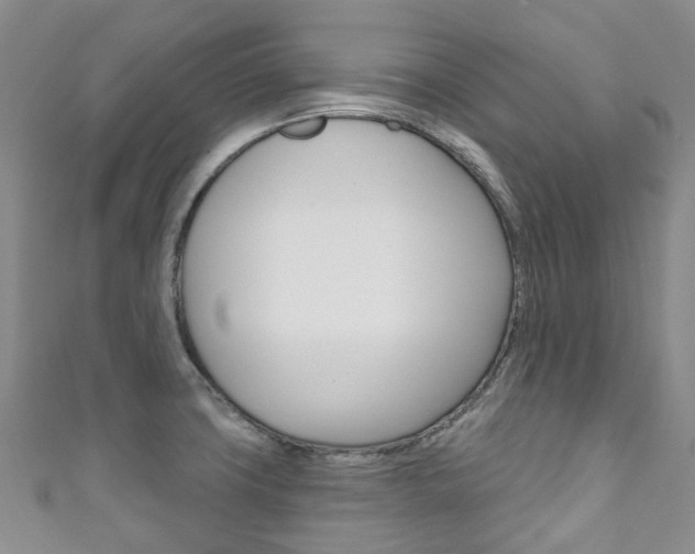 X0000111931427200907271021