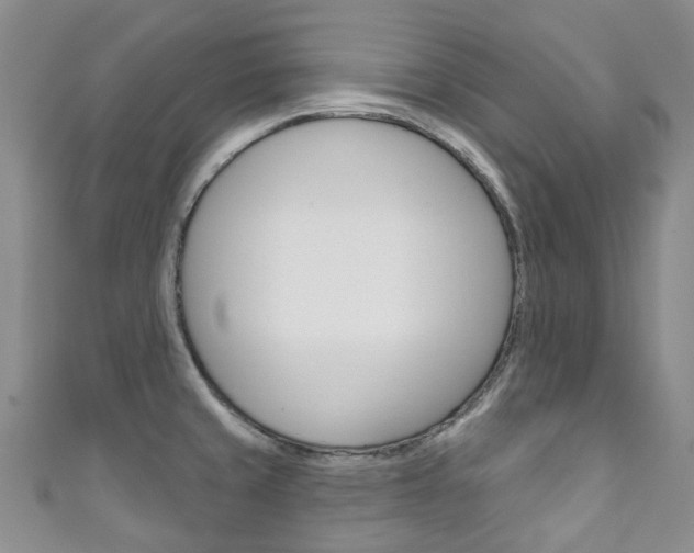 X0000111931429200907271021
