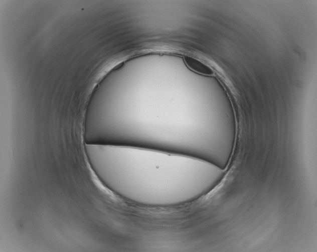 X0000111931433200907271021