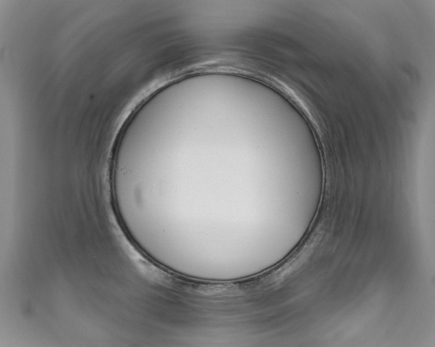 X0000111931434200907271021