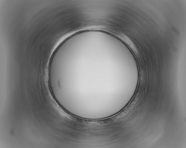 X0000111931436200907271021