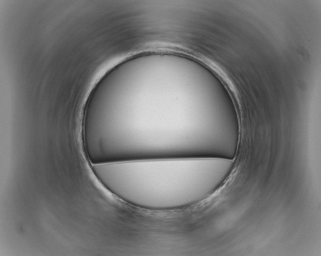 X0000111931437200907271021