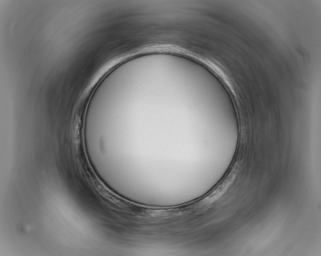 X0000111931438200907271021