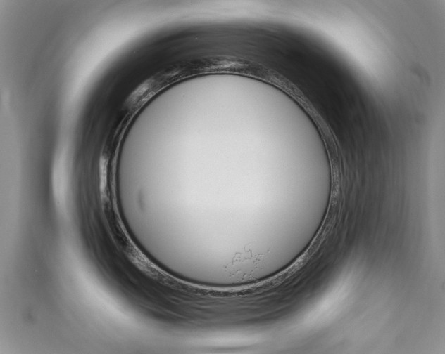 X0000111931439200907271021