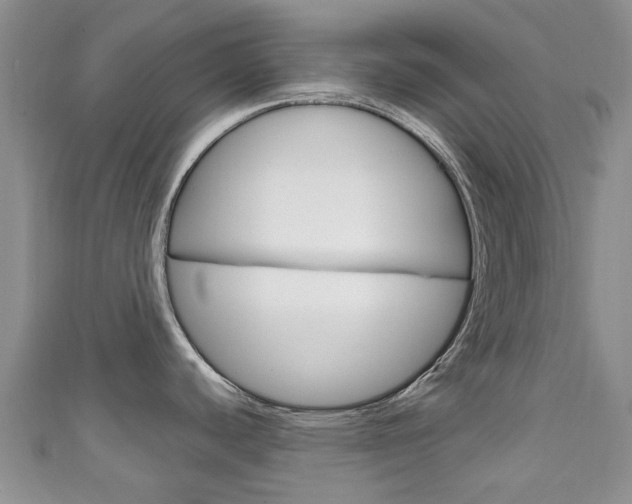 X0000111931440200907271021