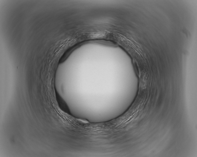 X0000111931441200907271020