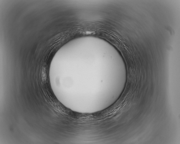 X0000111931442200907271020