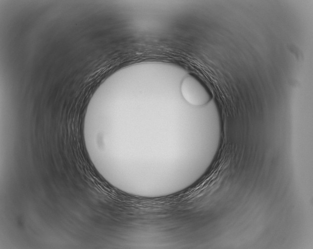 X0000111931443200907271020