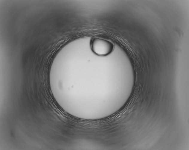 X0000111931444200907271020