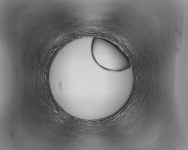 X0000111931445200907271020