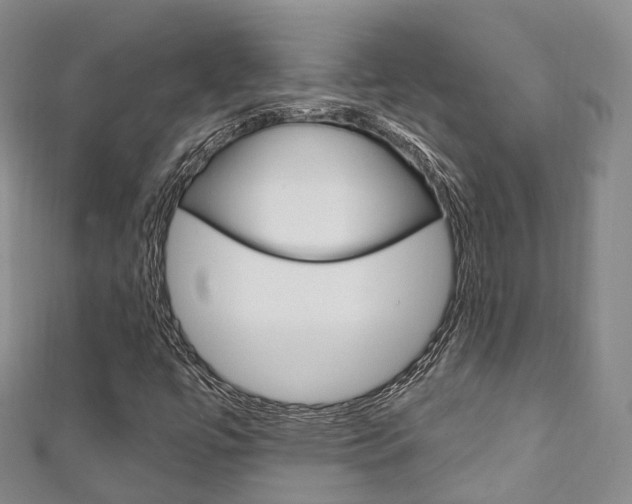 X0000111931447200907271020