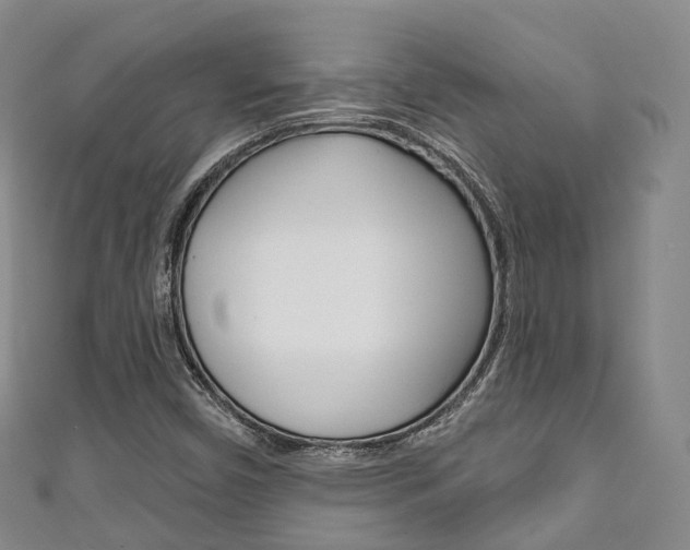 X0000111931450200907271020