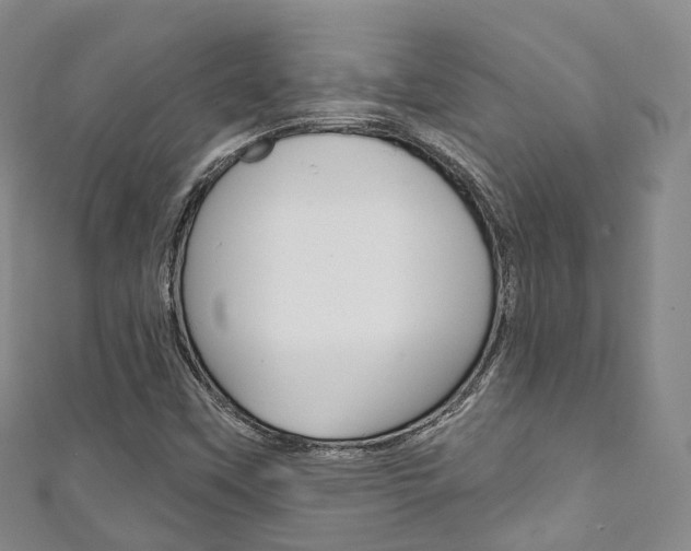 X0000111931451200907271020
