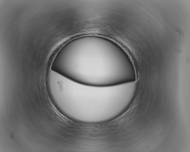 X0000111931452200907271020