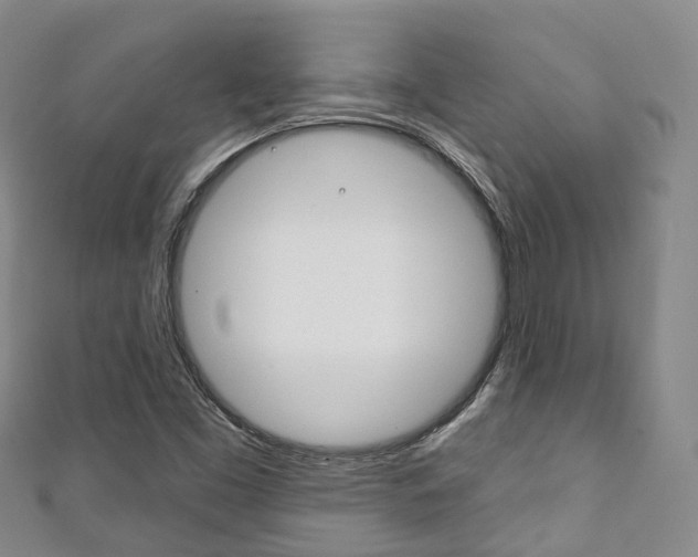 X0000111931453200907271020