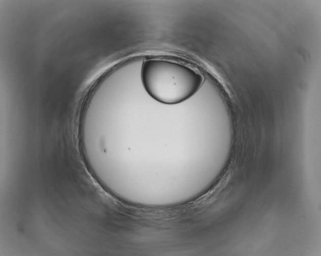 X0000111931456200907271020
