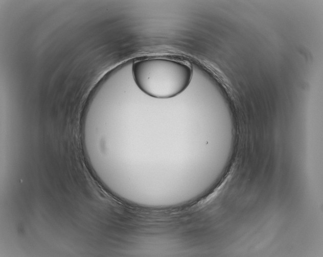 X0000111931457200907271020