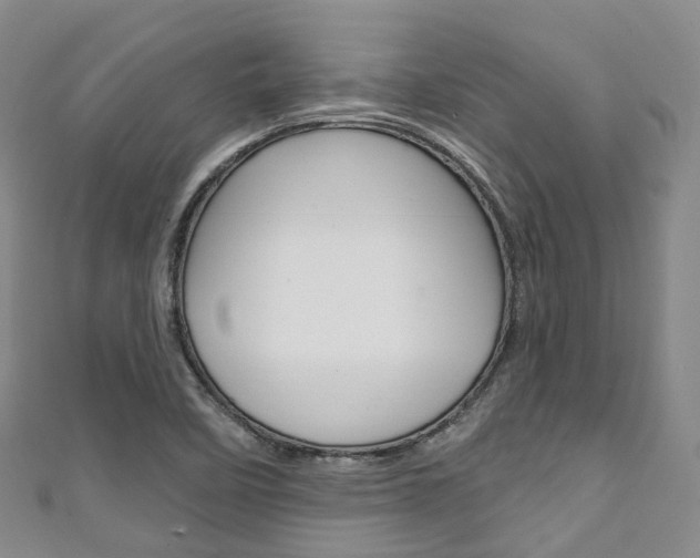 X0000111931458200907271020