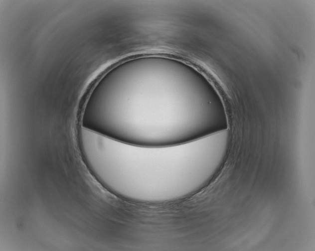 X0000111931460200907271020