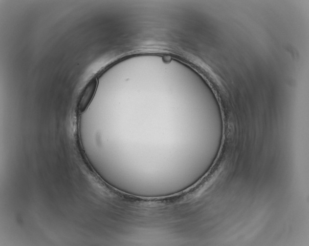 X0000111931461200907271020
