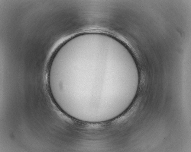 X0000111931462200907271020