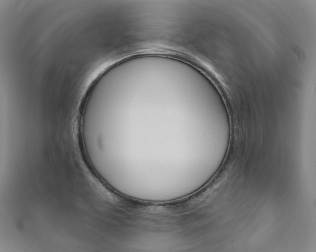 X0000111931463200907271020