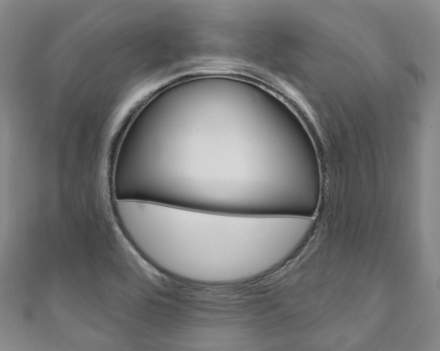 X0000111931464200907271020