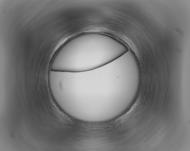 X0000111931465200907271020