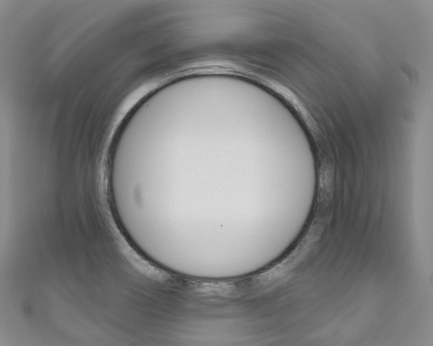 X0000111931466200907271020