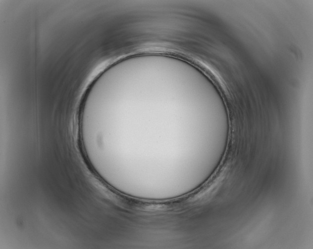 X0000111931467200907271020