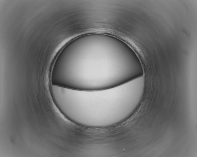 X0000111931468200907271020