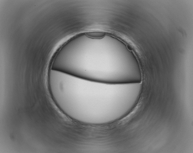 X0000111931469200907271020