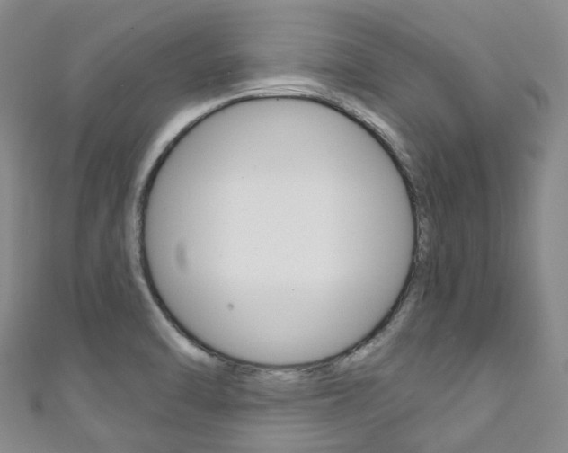 X0000111931470200907271020